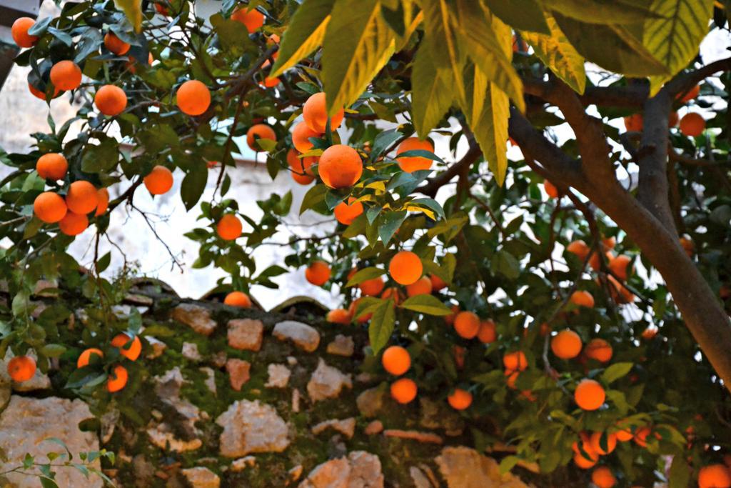 Giardino Del Sole Apartment Taormina Ngoại thất bức ảnh